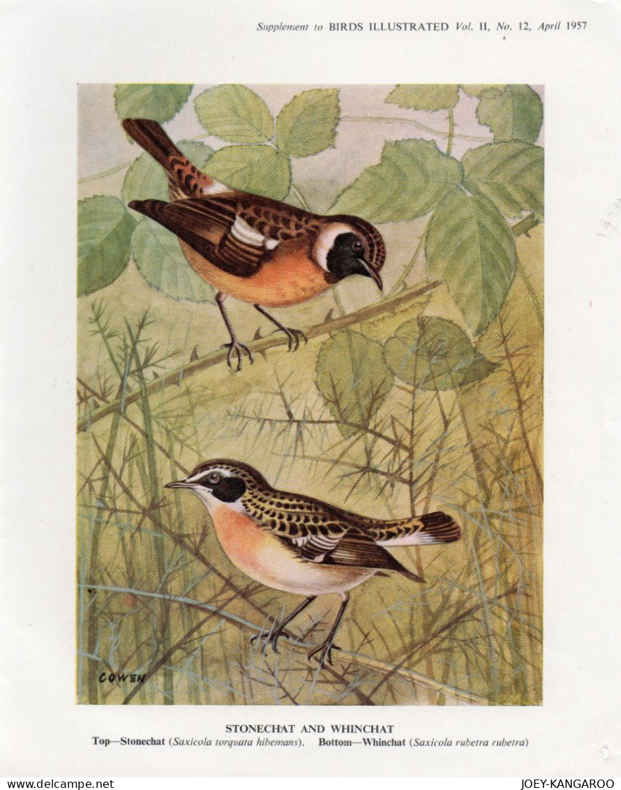 RSPB MONTHLY ILLUSTRATED 21 PAGE MAGAZINE APRIL 1957 WITH INSERT PICTURE - Autres & Non Classés