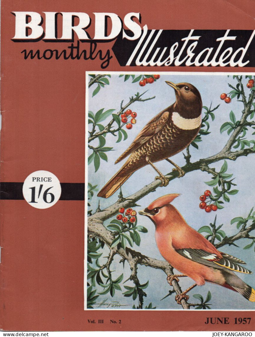 RSPB MONTHLY ILLUSTRATED 21 PAGE MAGAZINEJUNE 1957 WITH INSERT PICTURE - Autres & Non Classés