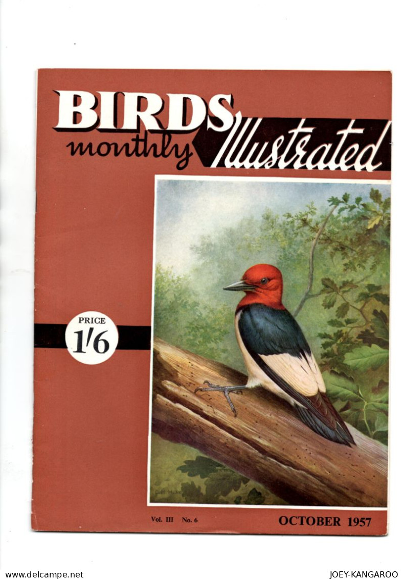 RSPB MONTHLY ILLUSTRATED 21 PAGE MAGAZINE OCTOBER 1957 WITH INSERT PICTURE - Other & Unclassified
