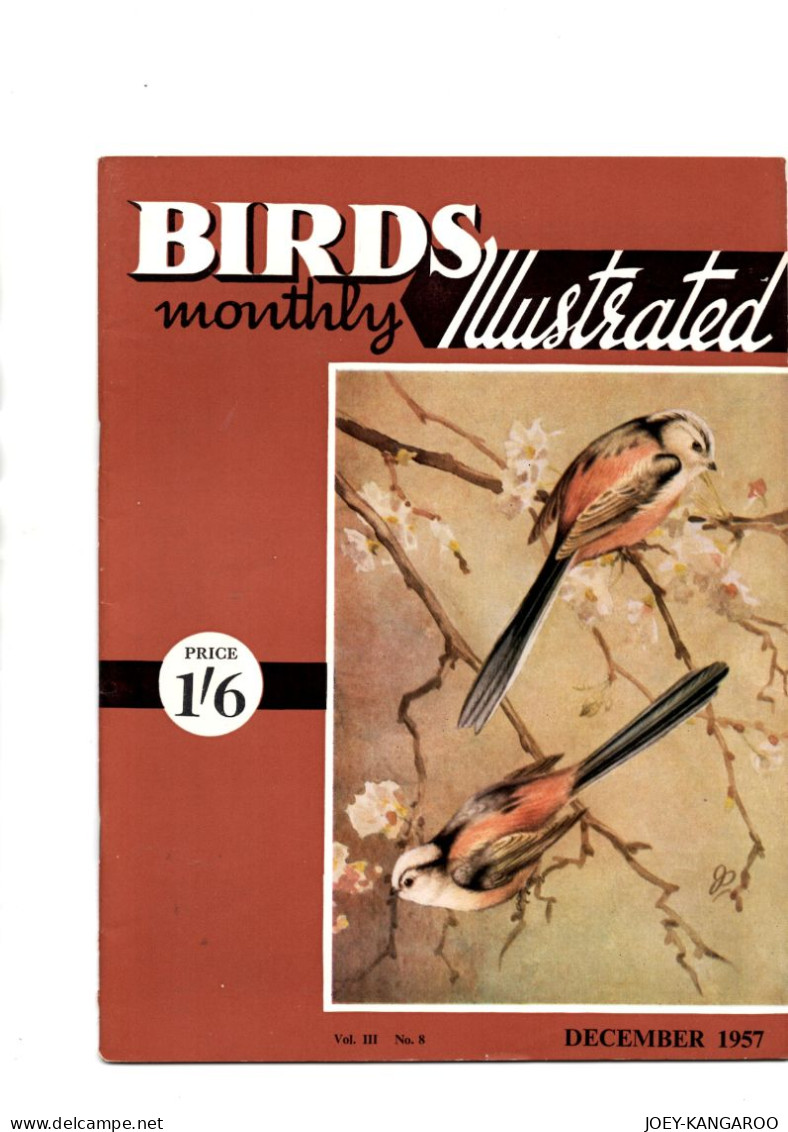 RSPB MONTHLY ILLUSTRATED 21 PAGE MAGAZINE DECEMBER 1957 WITH INSERT PICTURE - Other & Unclassified