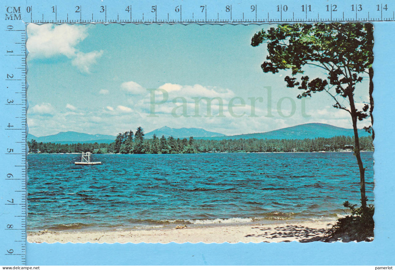 Post-Card, Ossipee Lake And Mt Chocorua ( White Mountain ) Floating Diving Board - Carte Postale - White Mountains