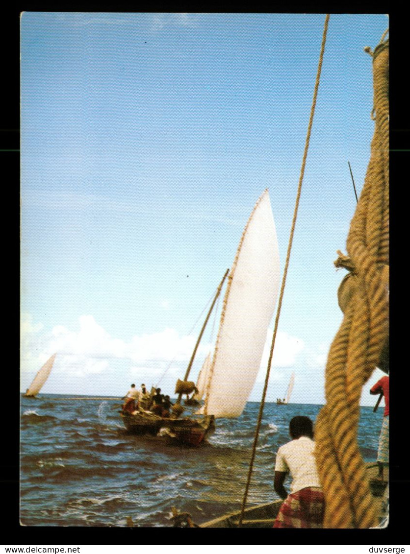 Maldives Dhoni Fishing Boats On The High Sea - Maldiven