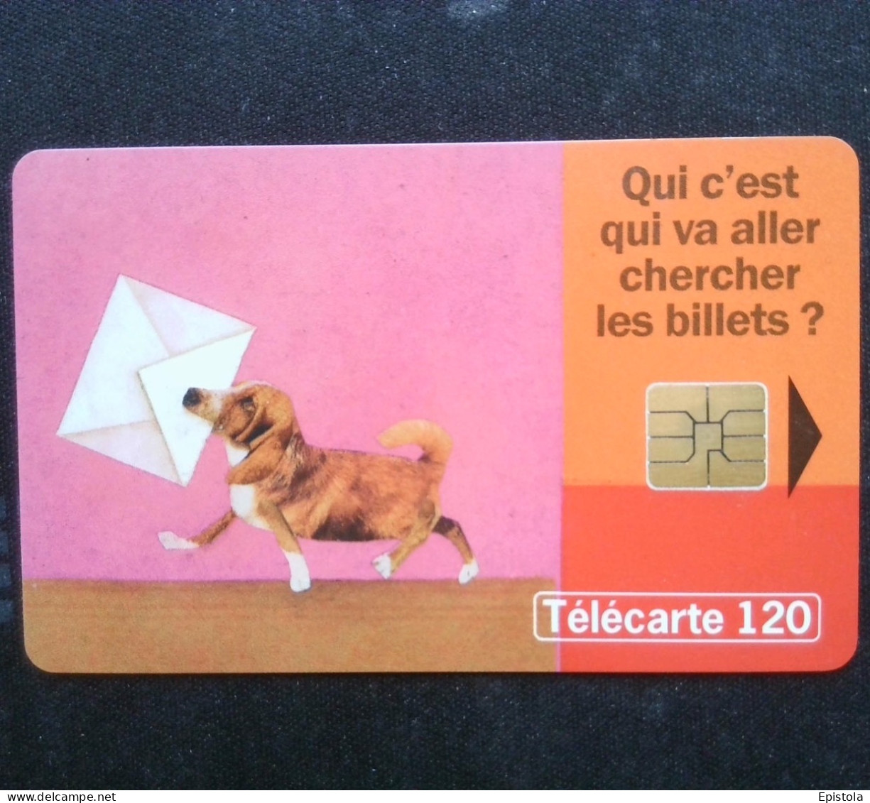 ► France :  Chien Teckel Dog Dachshund - Cani