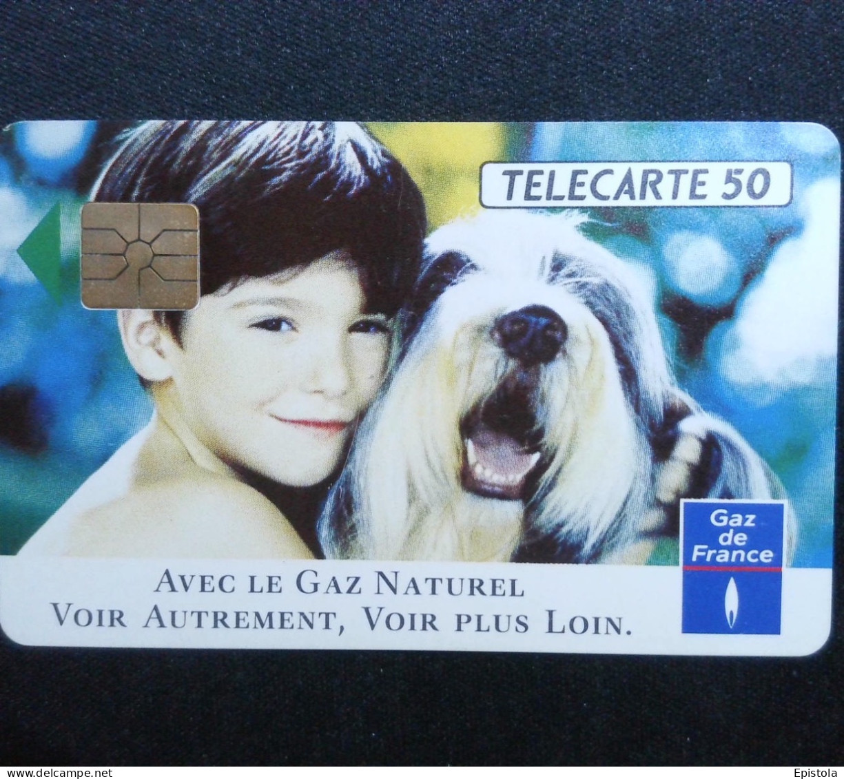 ► France :  Chien Bobtail - Cani