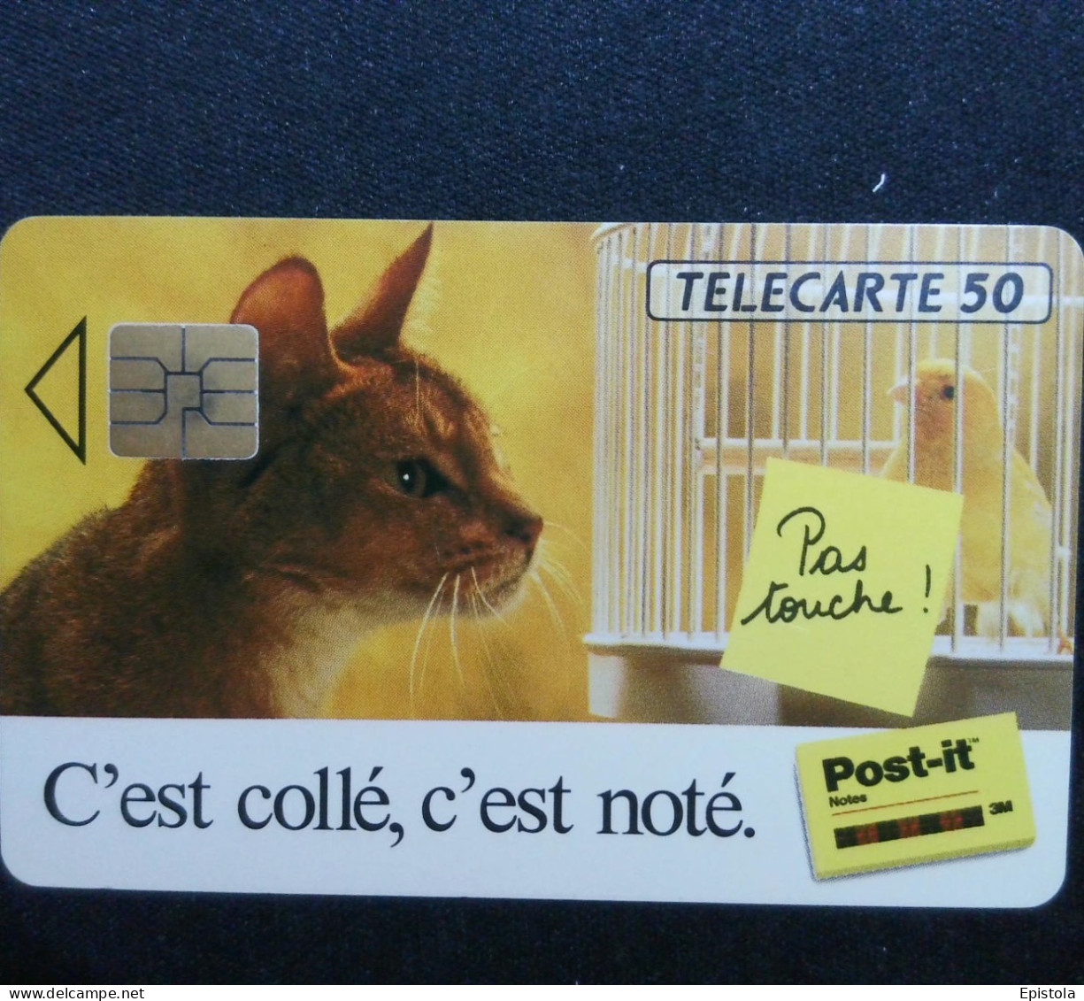 ► France :  CHAT  3M  Post-IT - Cats