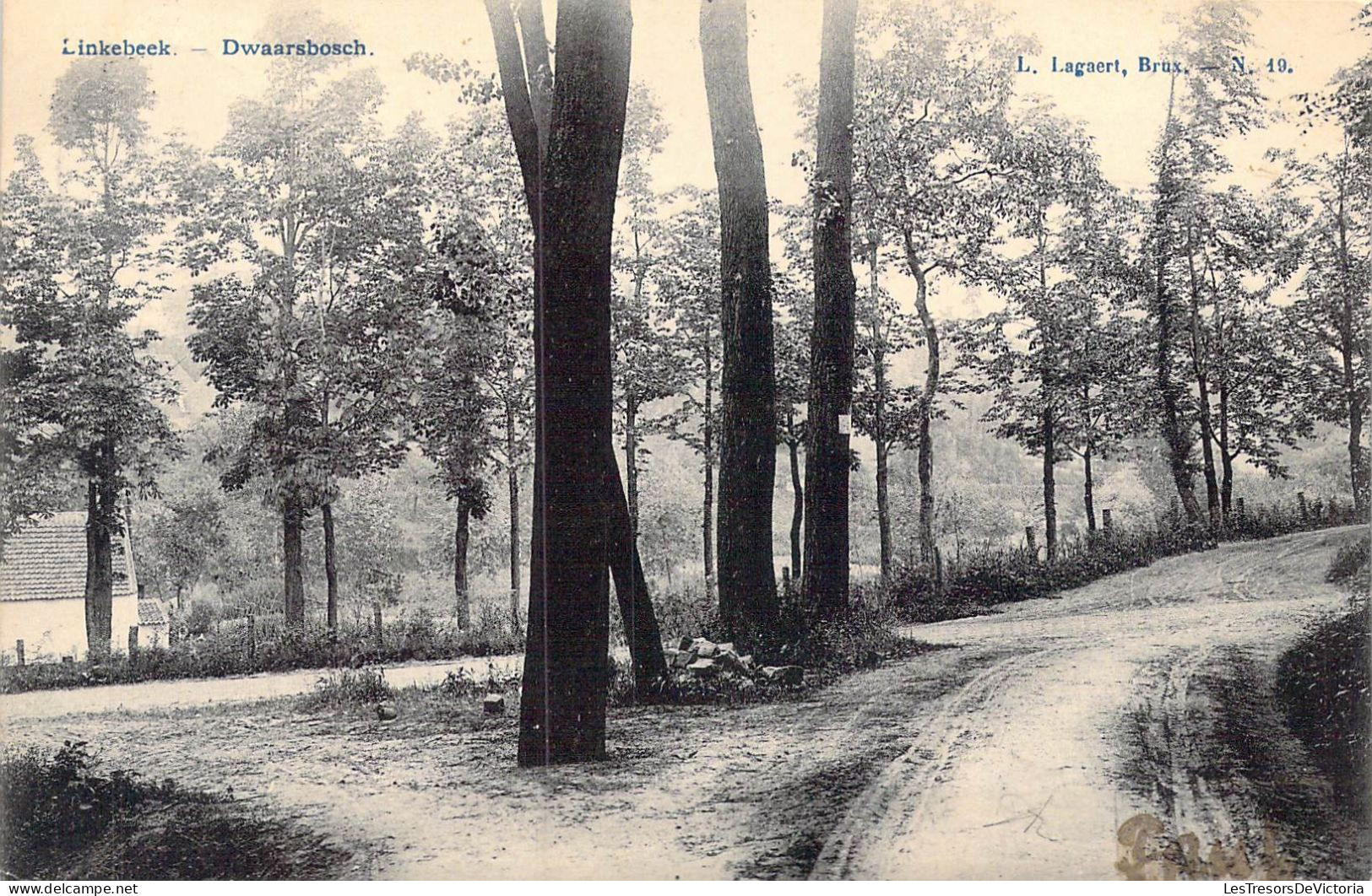 BELGIQUE - Linkebeek - Dwaarsbosch - Carte Postale Ancienne - Linkebeek