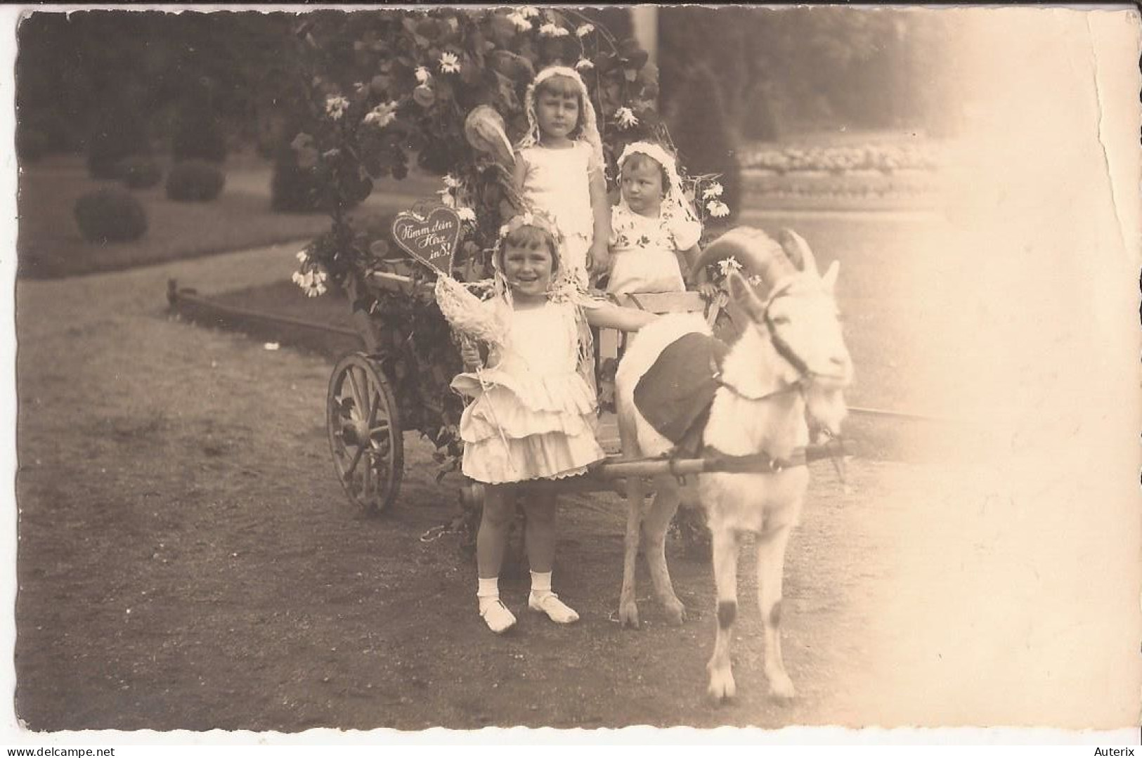 Pologne - Swinemünde Goat Cart Carte-photo - Polonia