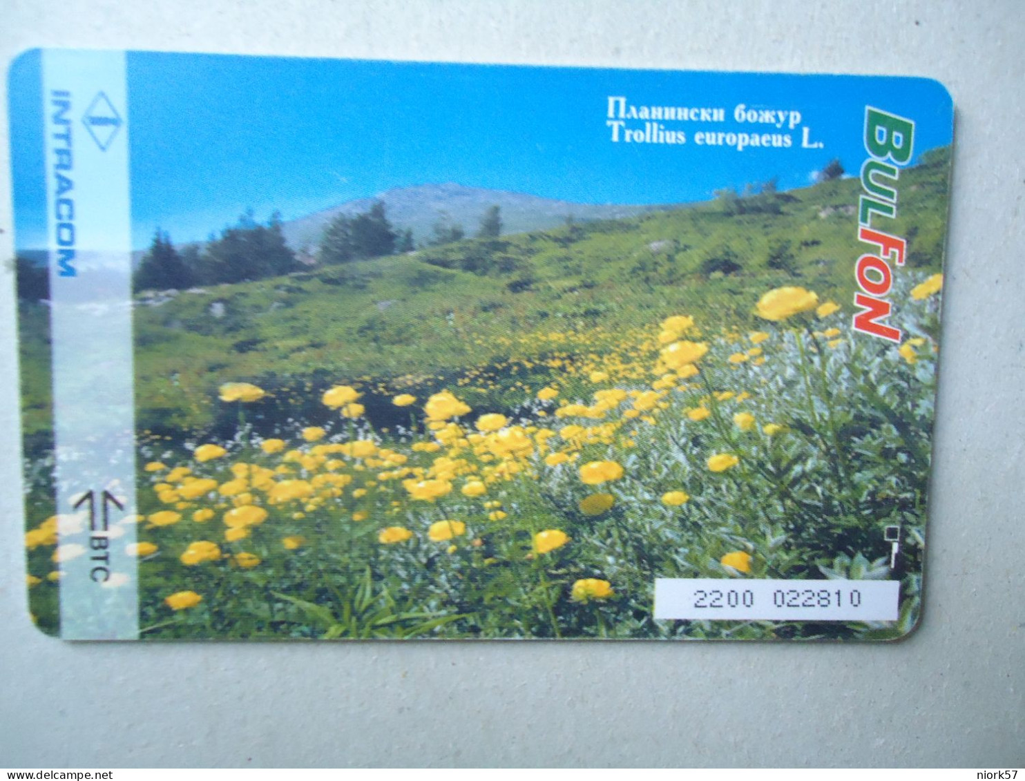 BULGARIA USED CARDS  FLOWERS  ROSES - Flores