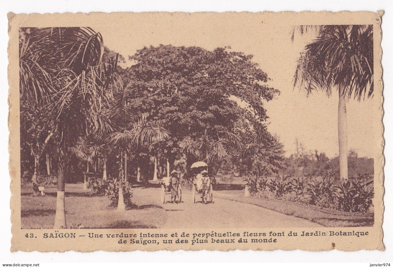 CPA N° 43 Verdure Intense Et De Perpétuelles Fleurs Font Du Jardin Botanique De Saigon Un Des Plus Beaux Du Monde 1924 - Vietnam