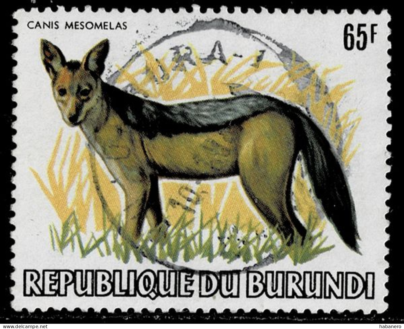 BURUNDI 1982 Mi 1592 BLACK-BACKED JACKAL VALUE €110 - Used Stamps