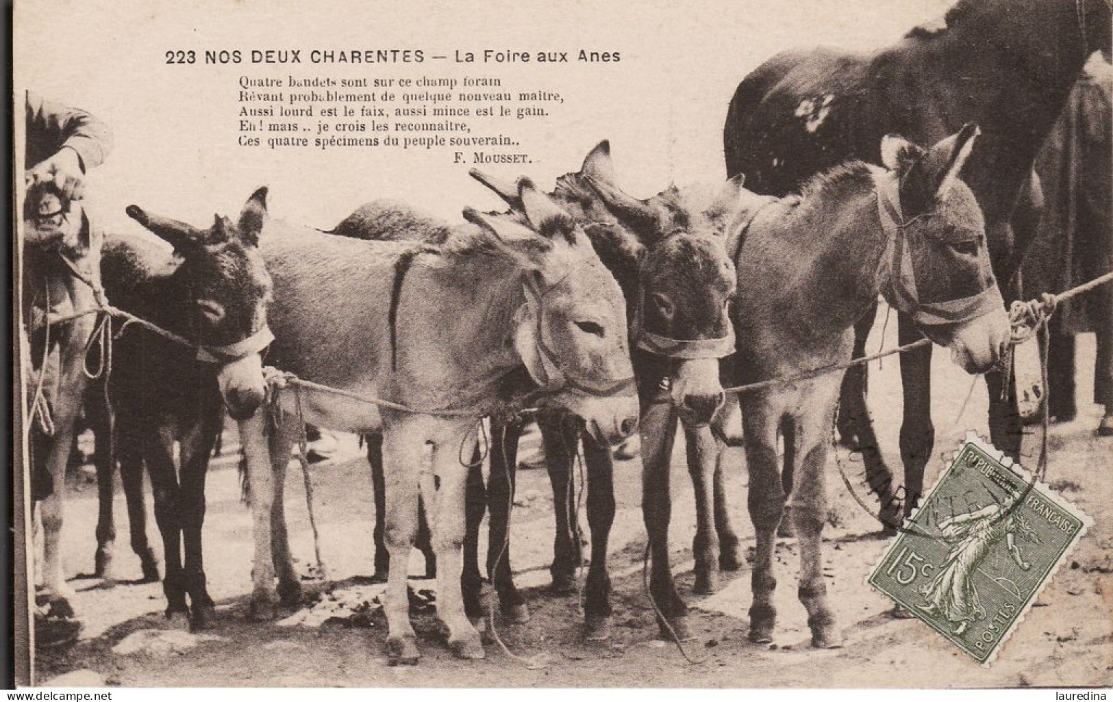 CP CHARENTE MARITIME - N°223 NOS DEUX CHARENTES - LA FOIRE AUX ANES - Ferias