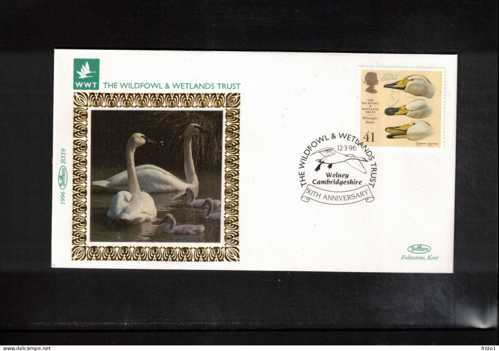 Great Britain 1996 Swan Interesting Cover - Cygnes