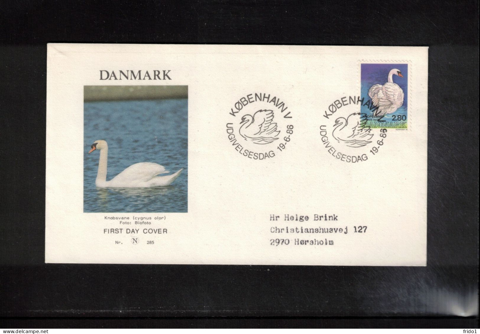 Denmark 1986 Swan Interesting Cover FDC - Swans