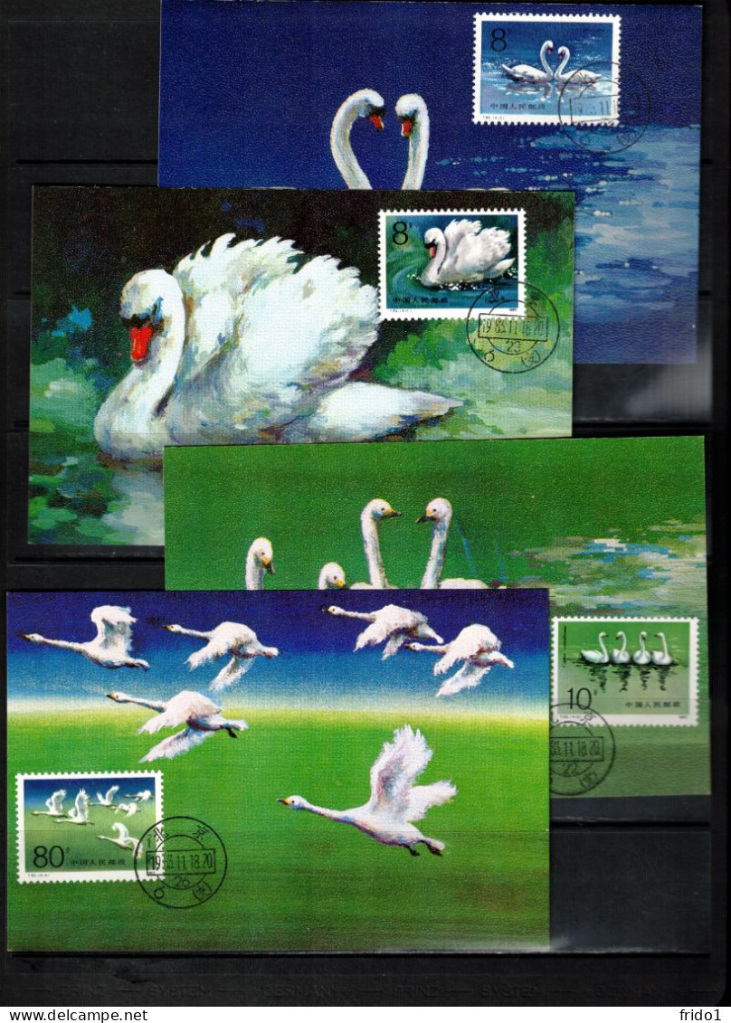 China 1983 Swans Interesting Maximum Cards - Cygnes