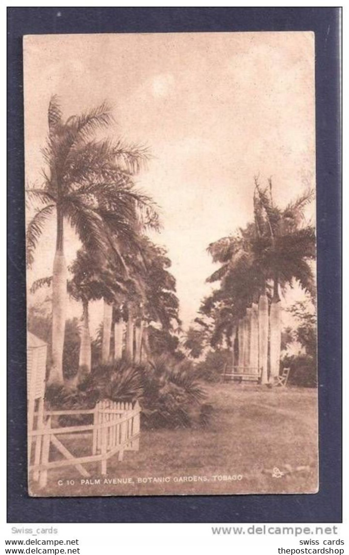 CPA Tobago Palm Avenue, Botanic Gardens TOPIARY UNUSED NEAR TO TRINIDAD Raphael Tuck & Sons - Trinidad