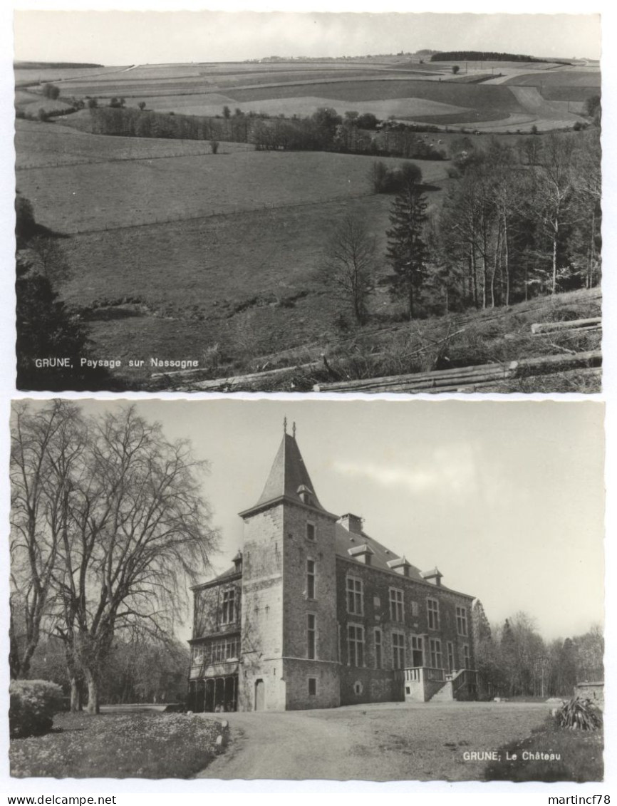 Belgien Grune Paysage Sur Nassagne + Le Chateau - Nassogne