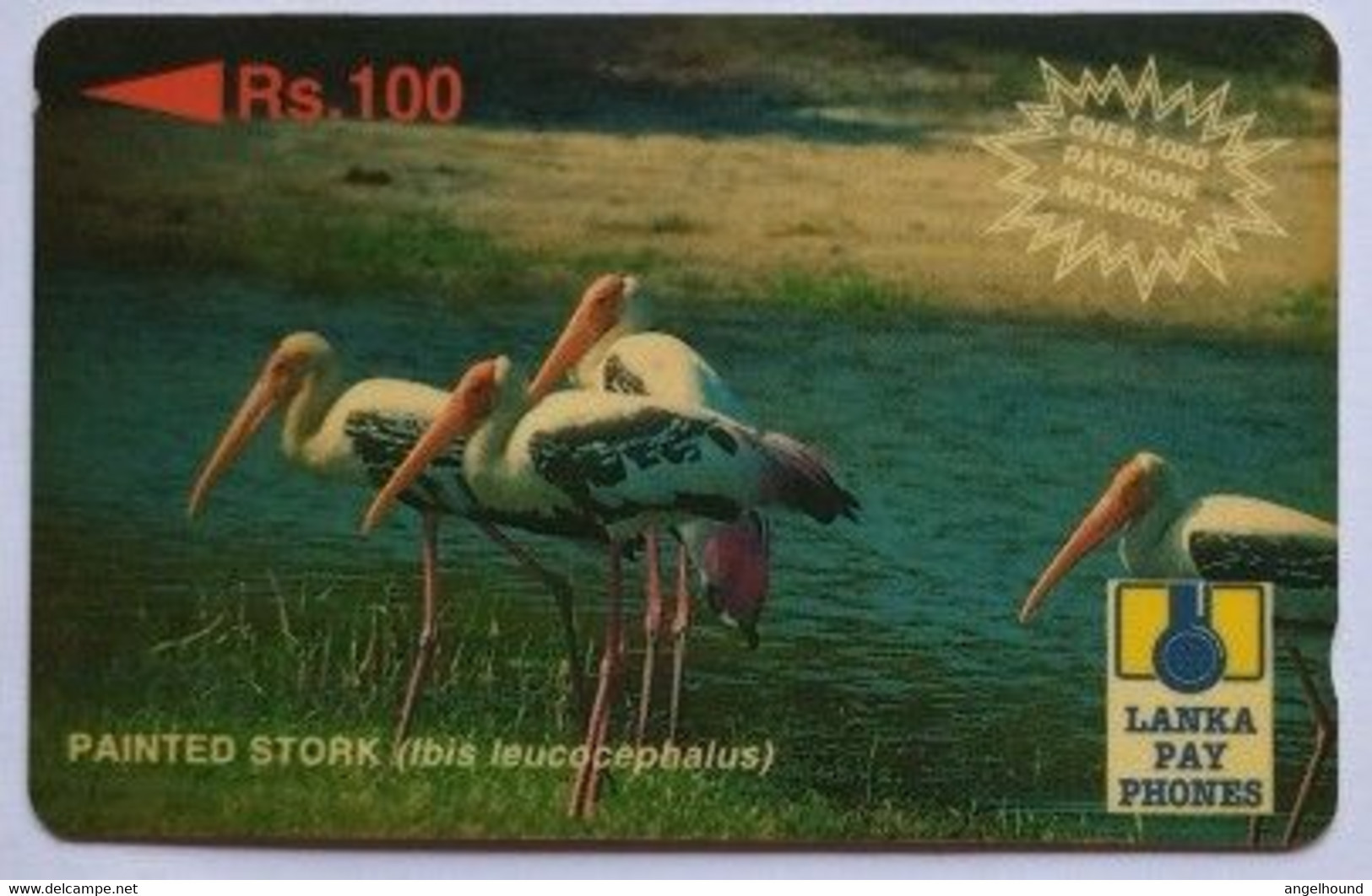 Sri Lanka 34SRLC Rs.100 Painted Stork ( With Text "over 1000 Payphone Network") - Sri Lanka (Ceylon)