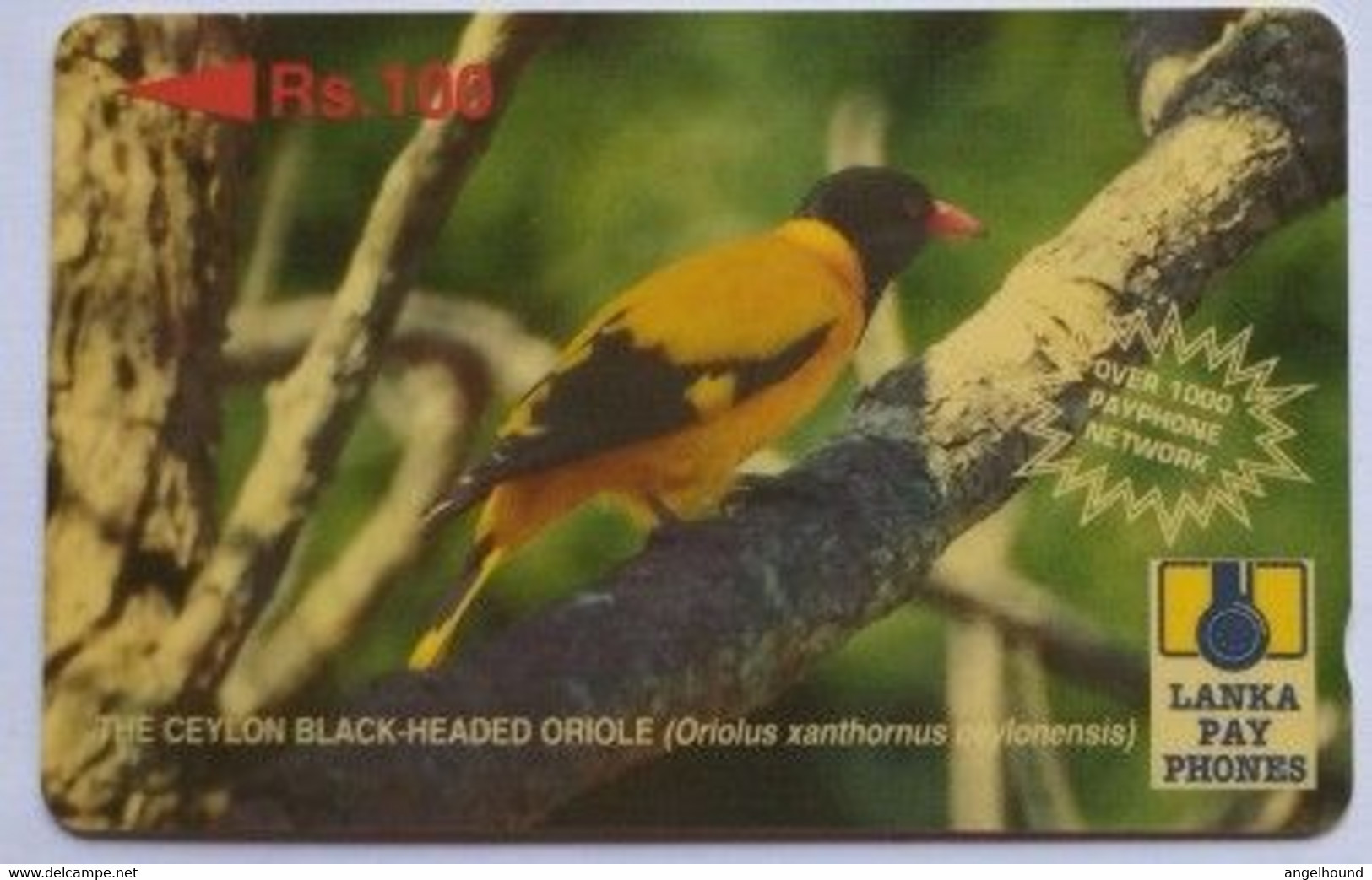 Sri Lanka 33SRLC Rs.100 Black Headed Oriole ( With Text "over 1000 Payphone Network ") - Sri Lanka (Ceylon)