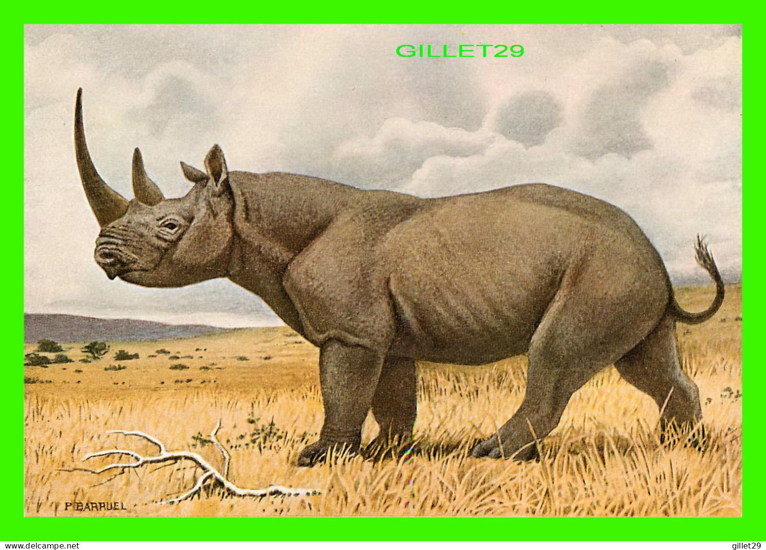 RHINOCÉROS D'AFRIQUE, SPITZNASHORN - DICEROS BICORNIS - MAMMIFÈRES, ONGULÉS - ÉDITIONS, N. BOUBÉEE ET CIE - - Rhinocéros