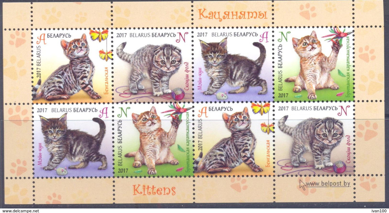 2017. Belarus, Kittens,  S/s, Mint/** - Belarus