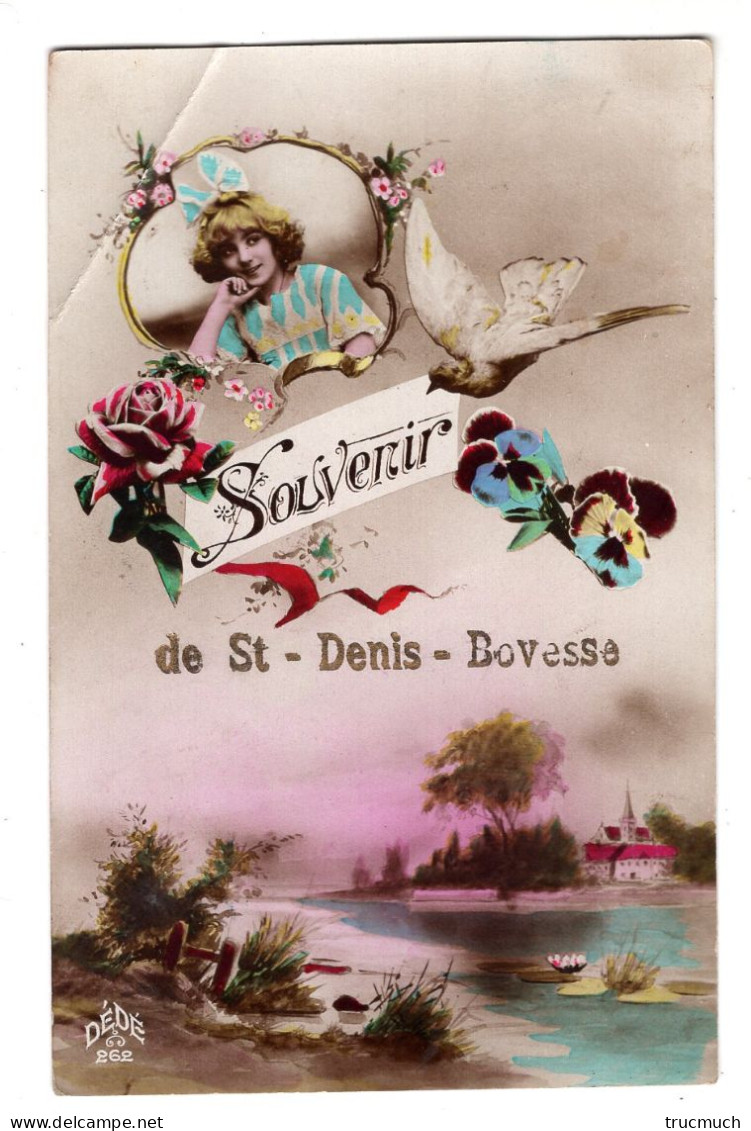 Souvenir De St DENIS BOVESSE - La Bruyère