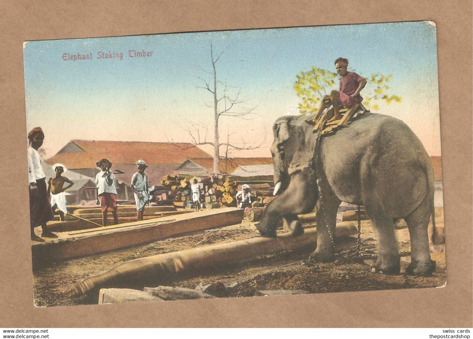 India Old Postcard Tolle AK Elephant Staking Timber, Elefant Zieht Holzstämme - Indien