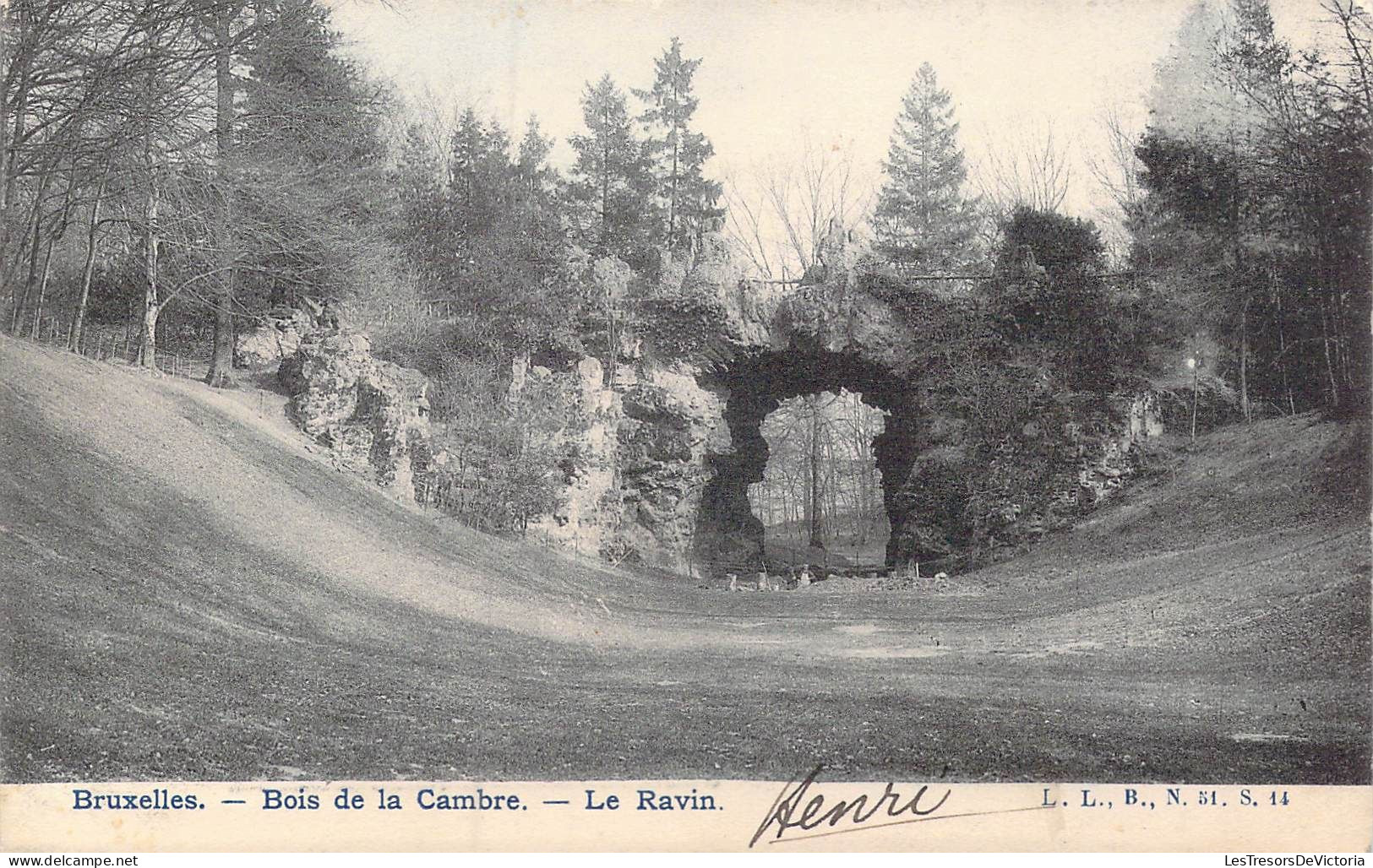 BELGIQUE - Bruxelles - Bois De La Cambre - Le Ravin - Carte Postale Ancienne - Bossen, Parken, Tuinen