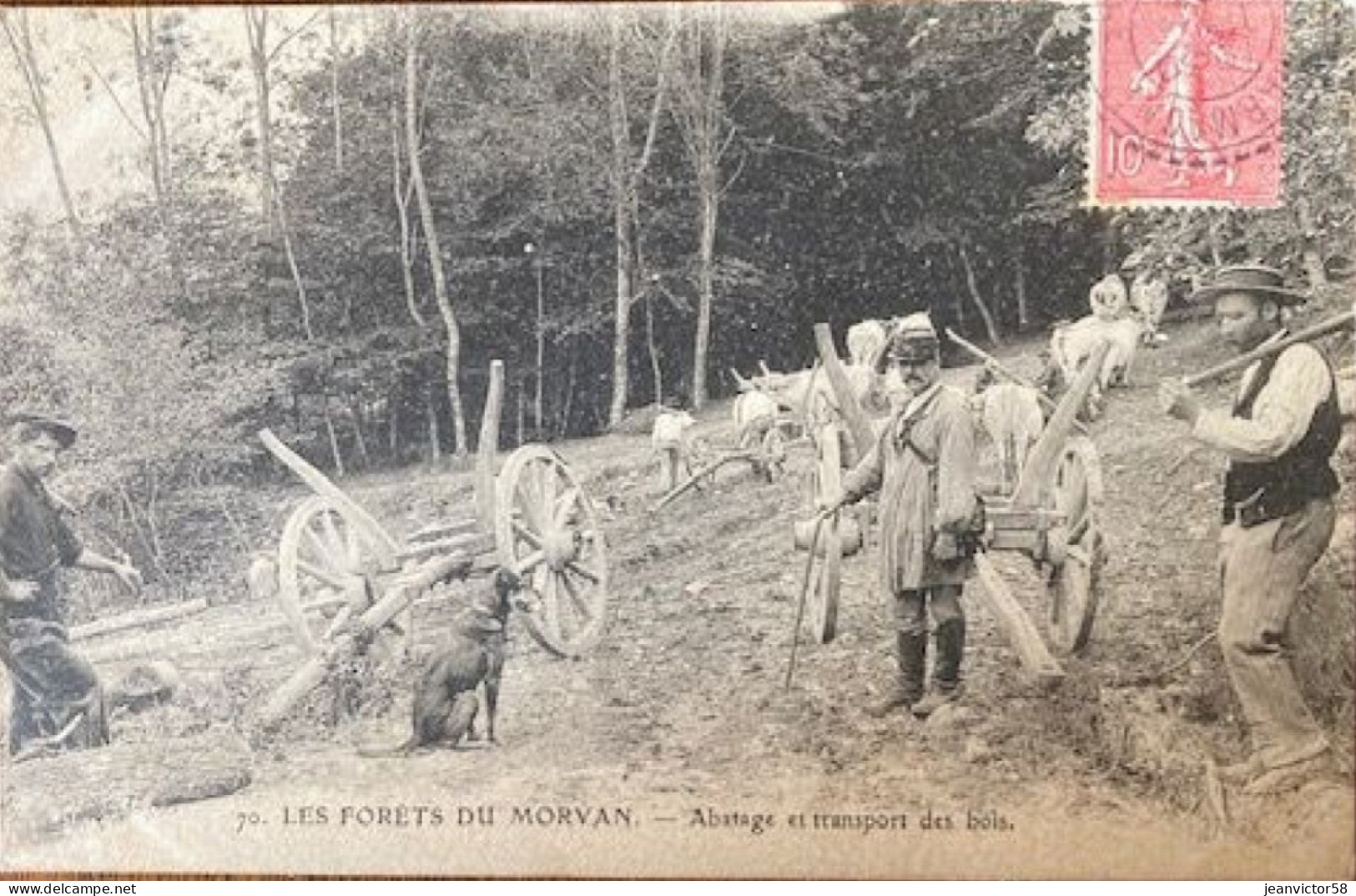 70  Les Forêts  Du Morvan Abatage Et Transport Des Bois - Bourgogne