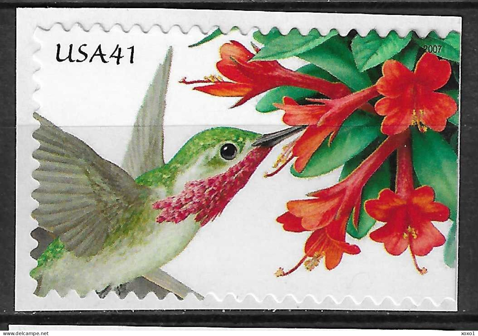 USA 2007 MiNr. 4242 BD  Etats-Unis Plant, Flowers, Firebush, Birds, Calliope Hummingbird 1v ** 1.00 € - Kolibries