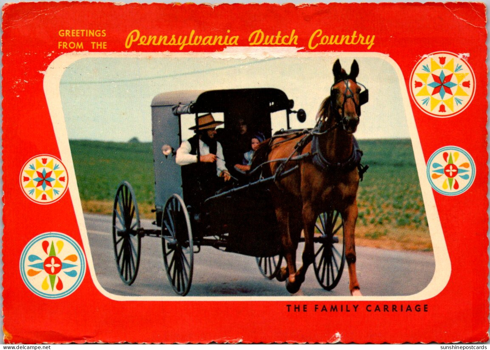 Pennsylvania Greetings From Dutch Country The Amish Family Carriage - Lancaster