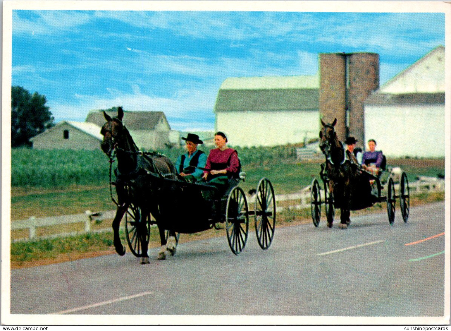 Pennsylvania Greetings From Dutch Country Two Amish Courting Buggies - Lancaster