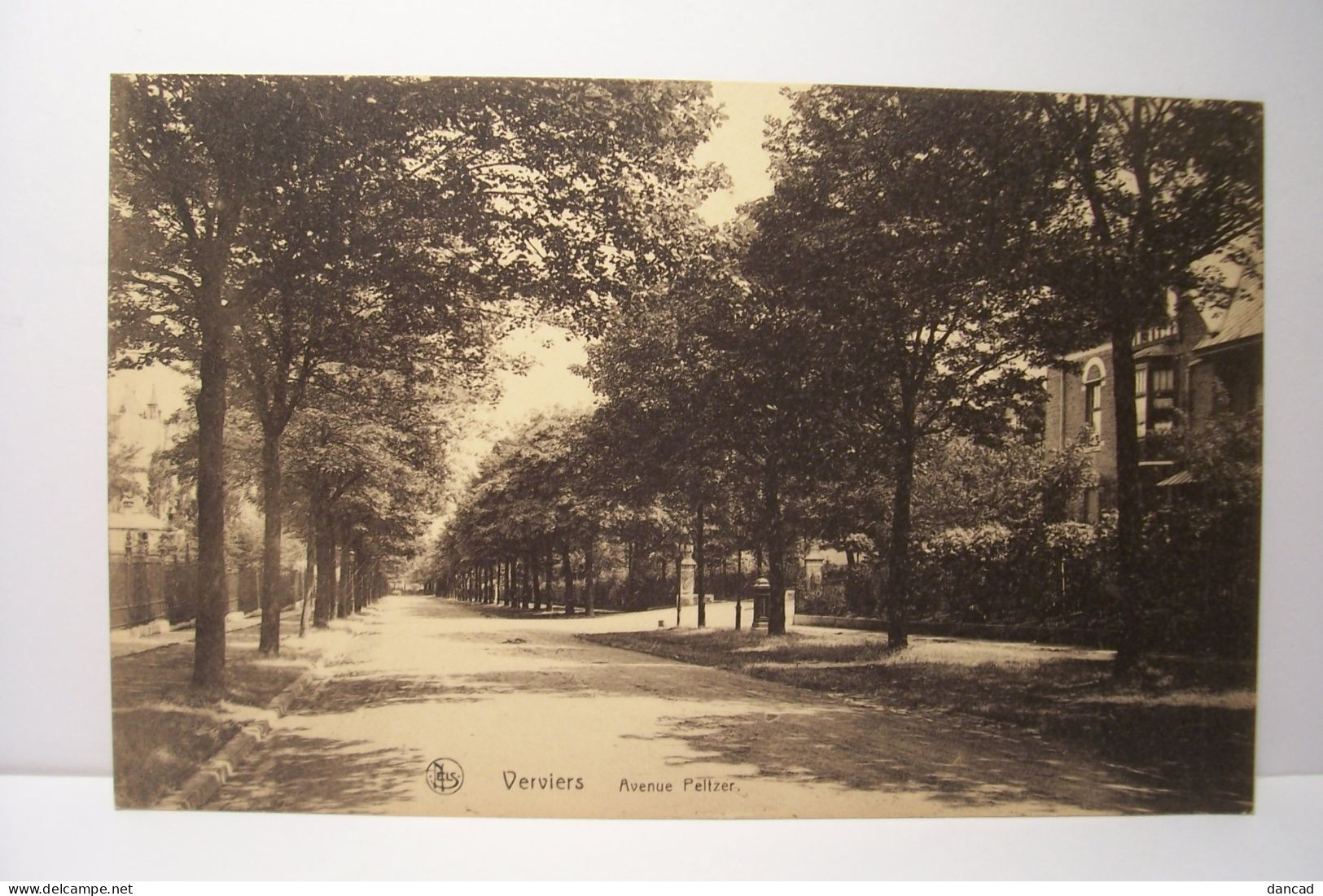 VERVIERS   -  Avenue  Peltzer - Verviers