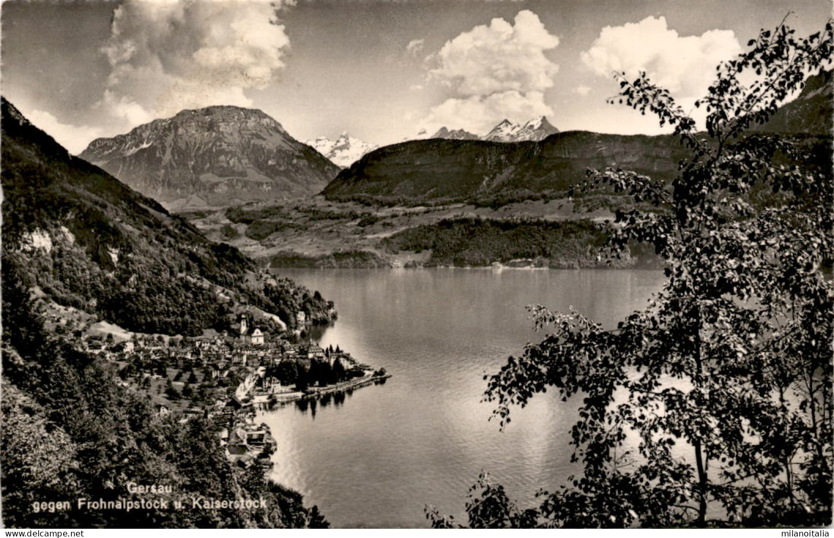 Gersau Gegen Frohnalpstock U. Kaiserstock (9086) * 25. 8. 1951 - Gersau