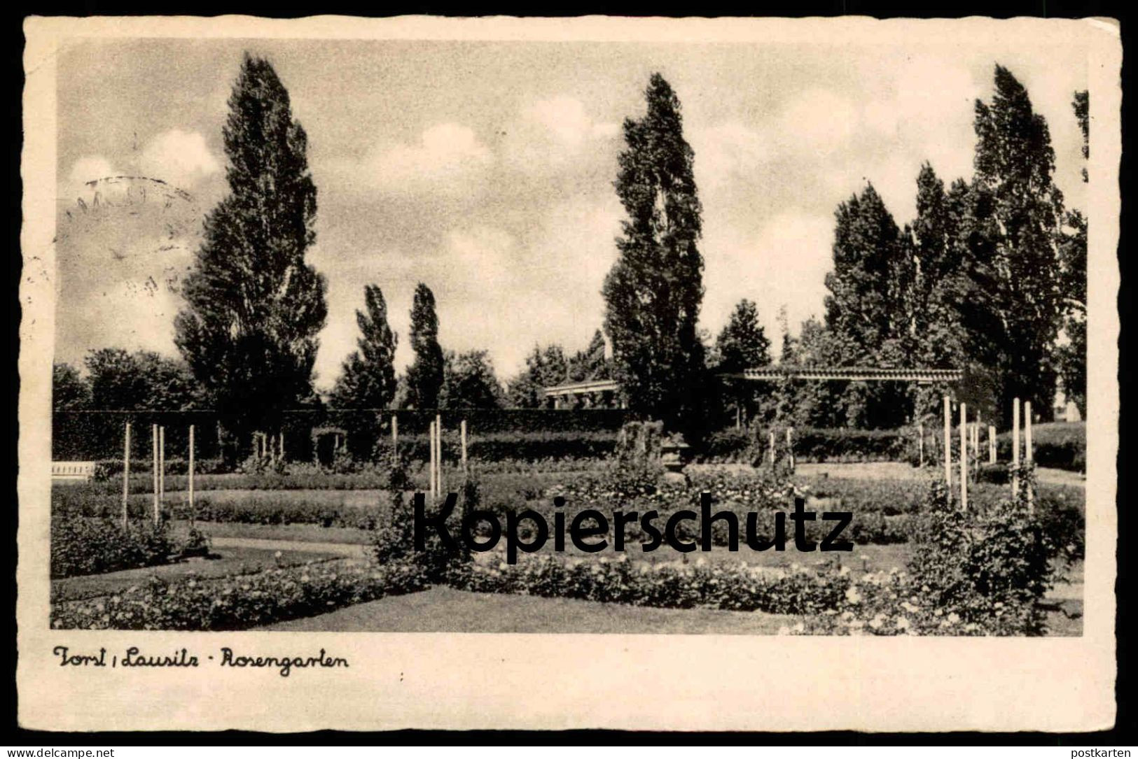 ALTE POSTKARTE FORST LAUSITZ ROSENGARTEN 1944 GARTEN Park Parc Ansichtskarte AK Postcard AK - Forst