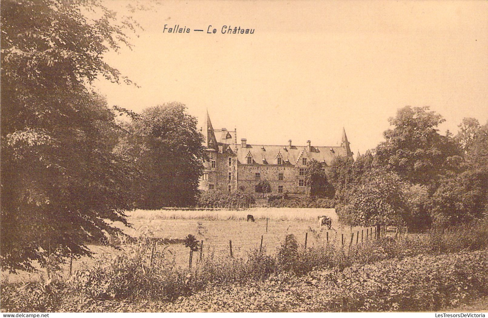 BELGIQUE - Fallais - Château De Fallais  - Carte Postale Ancienne - Other & Unclassified