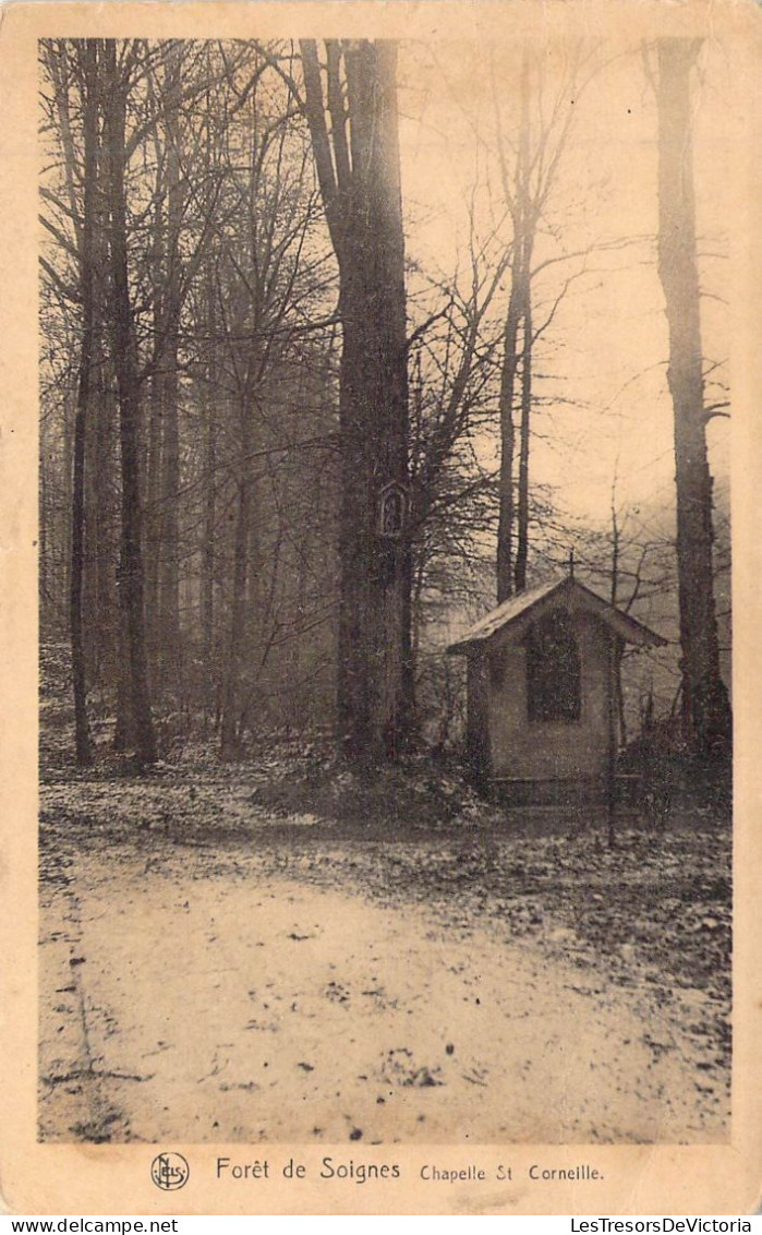 BELGIQUE - SOIGNIES - Chapelle St Corneille - Forêt De Soignies - Edition Du Foyer Des Orphelin - Carte Postale Ancienne - Soignies