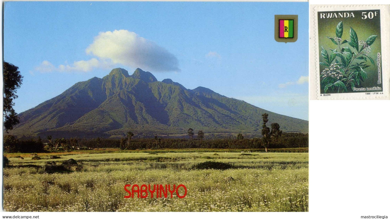 RWANDA  Volcan Sabynyo  Piantation De Pyrèthre  Nice Stamp - Ruanda