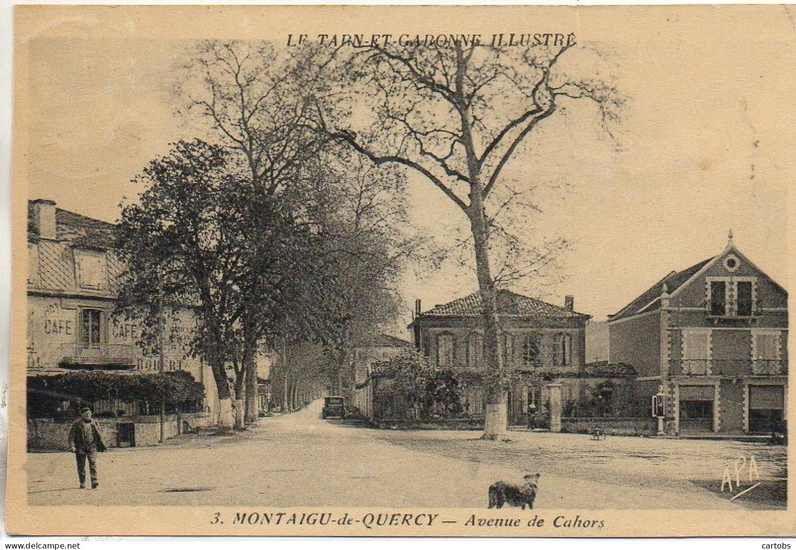 82 MONTAIGU-de-QUERCY  Avenue De Cahors - Montaigu De Quercy