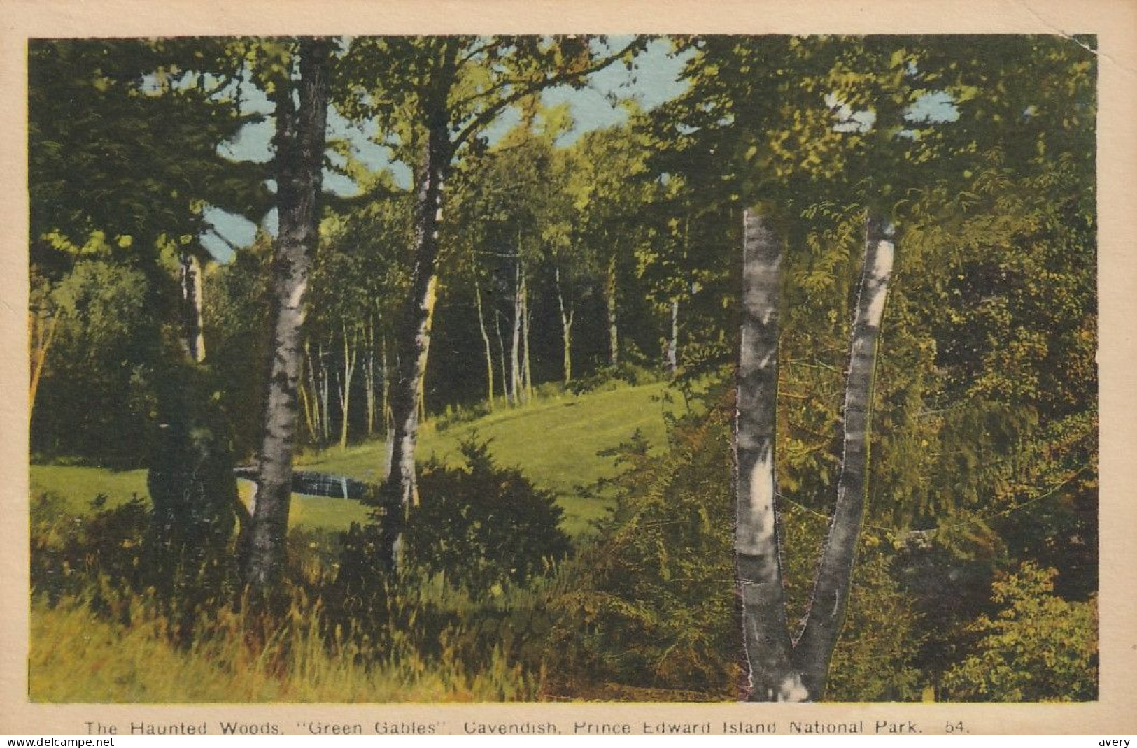 The Haunted Woods, "Green Gables" Cavendish, Prince Edward Island National Park - Otros & Sin Clasificación