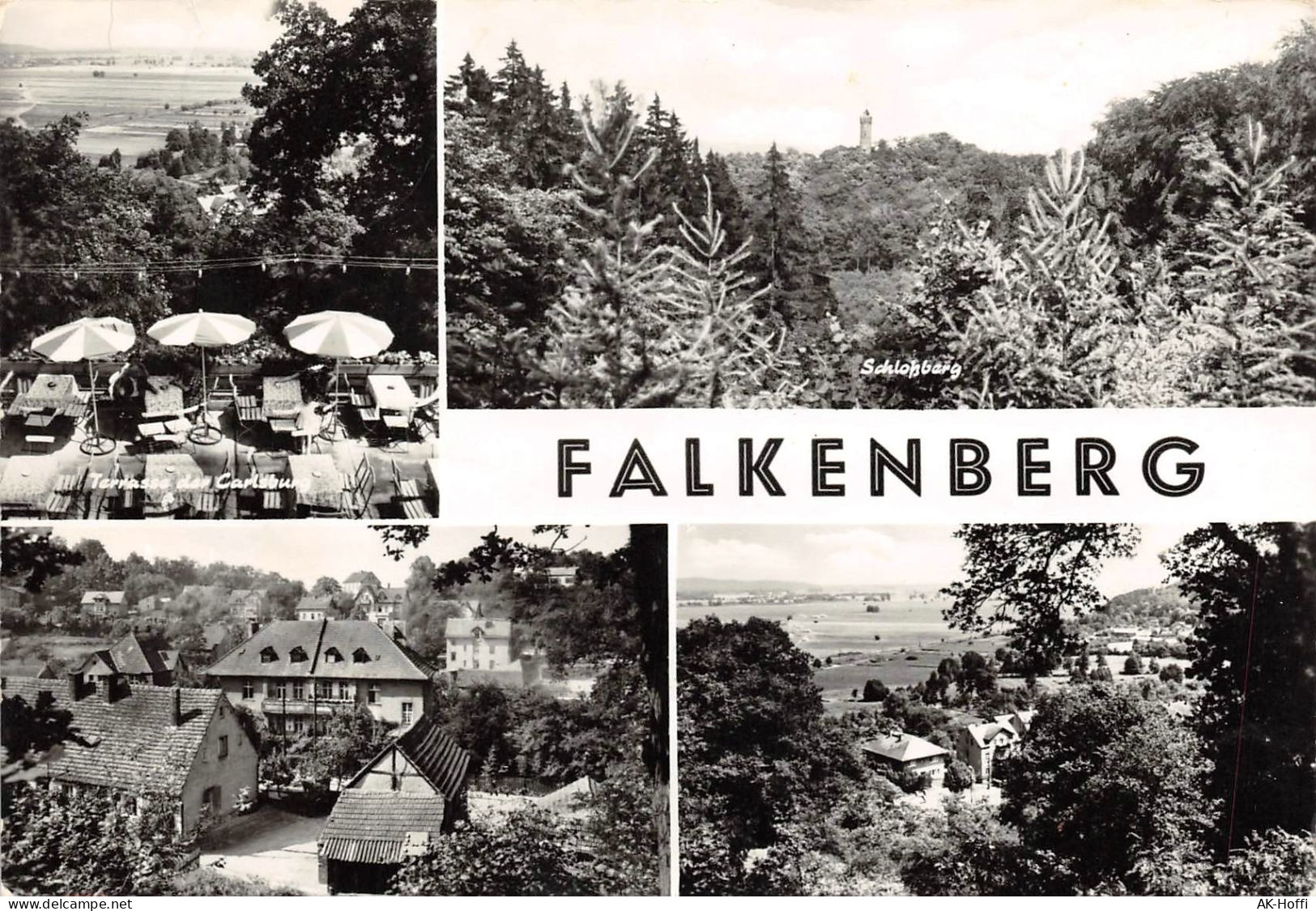 Falkenberg In Der Mark - Mehrbildkarte (874) - Falkenberg (Mark)
