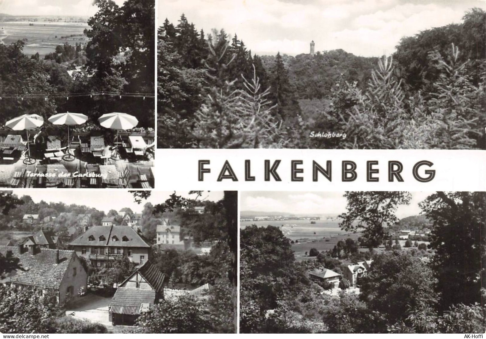 Falkenberg In Der Mark - Mehrbildkarte (875) - Falkenberg (Mark)