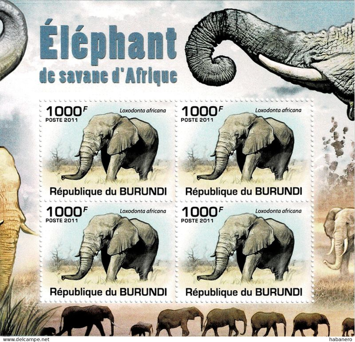 BURUNDI 2011 Mi 2035A AFRICAN SAVANNA ELEPHANT MINT MINIATURE SHEET ** - Blocs-feuillets
