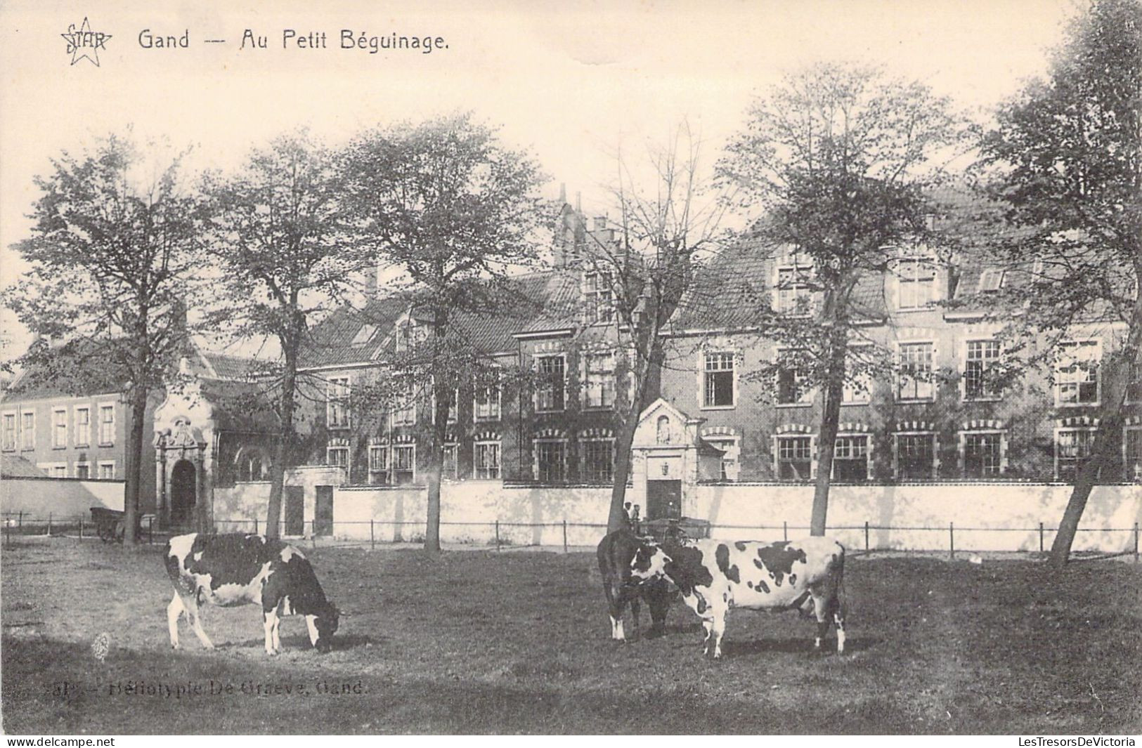 BELGIQUE - GENT -  Au Petit Béguinage - Vaches - Carte Postale Ancienne - Gent