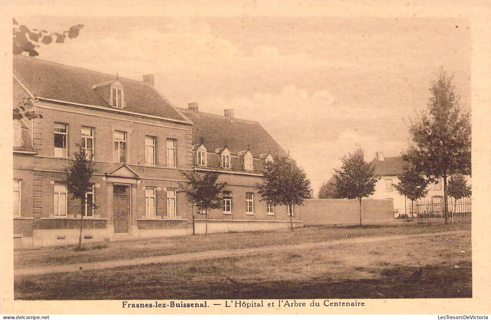 BELGIQUE - FRASNES LEZ BUISSENAL - L'Hôpital Et L'Arbre Du Centenaire - Carte Postale Ancienne - Frasnes-lez-Anvaing