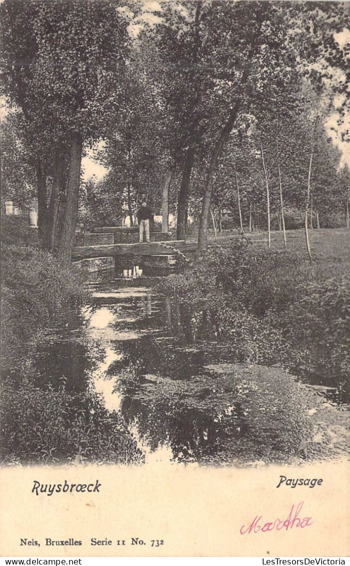 BELGIQUE - RUYSBROECK - Paysage - Edit Nels - Carte Postale Ancienne - Sonstige & Ohne Zuordnung