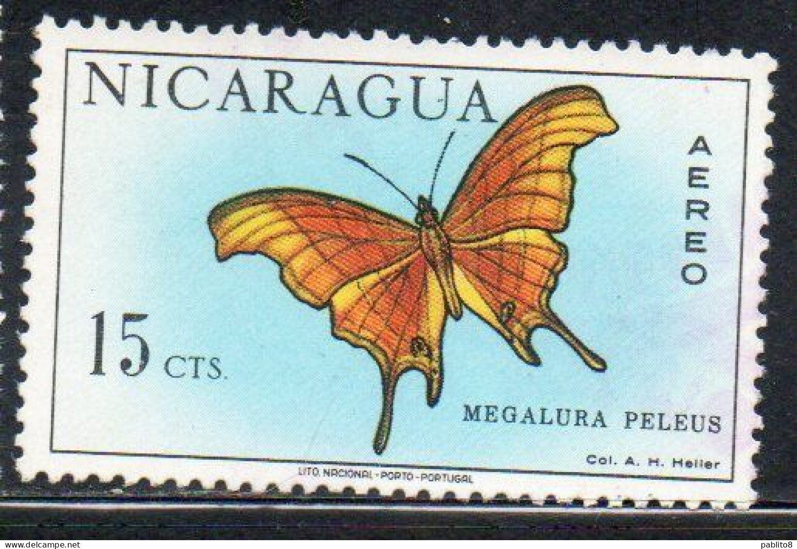 NICARAGUA 1967 AIR POST MAIL AIRMAIL BUTTERFLIES FARFALLE BUTTERFLY MEGALURA PELEUS 15c USED USATO OBLITERE' - Nicaragua