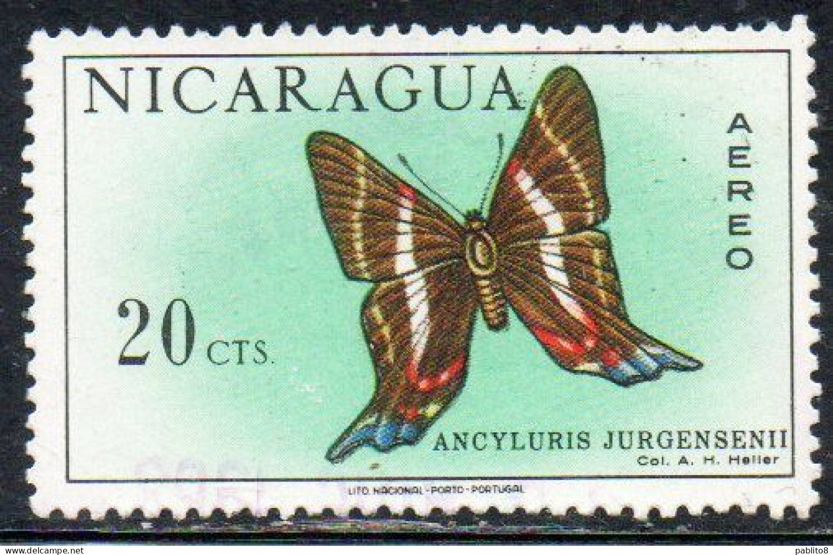 NICARAGUA 1967 AIR POST MAIL AIRMAIL BUTTERFLIES FARFALLE BUTTERFLY ANCYLURIS JURGENSENII 20c USED USATO OBLITERE' - Nicaragua