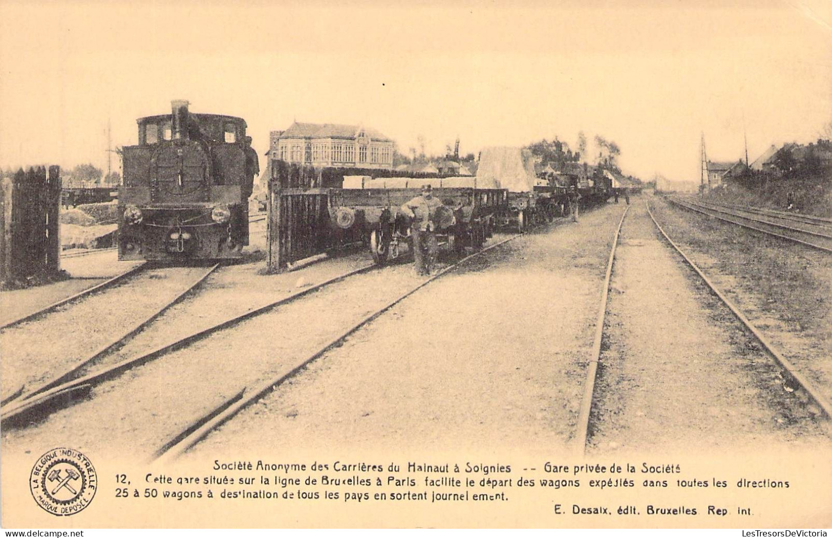 BELGIQUE - SOIGNIES - Sociètè Anonyme Des Carrières Du Hainaut - Carte Postale Ancienne - Soignies