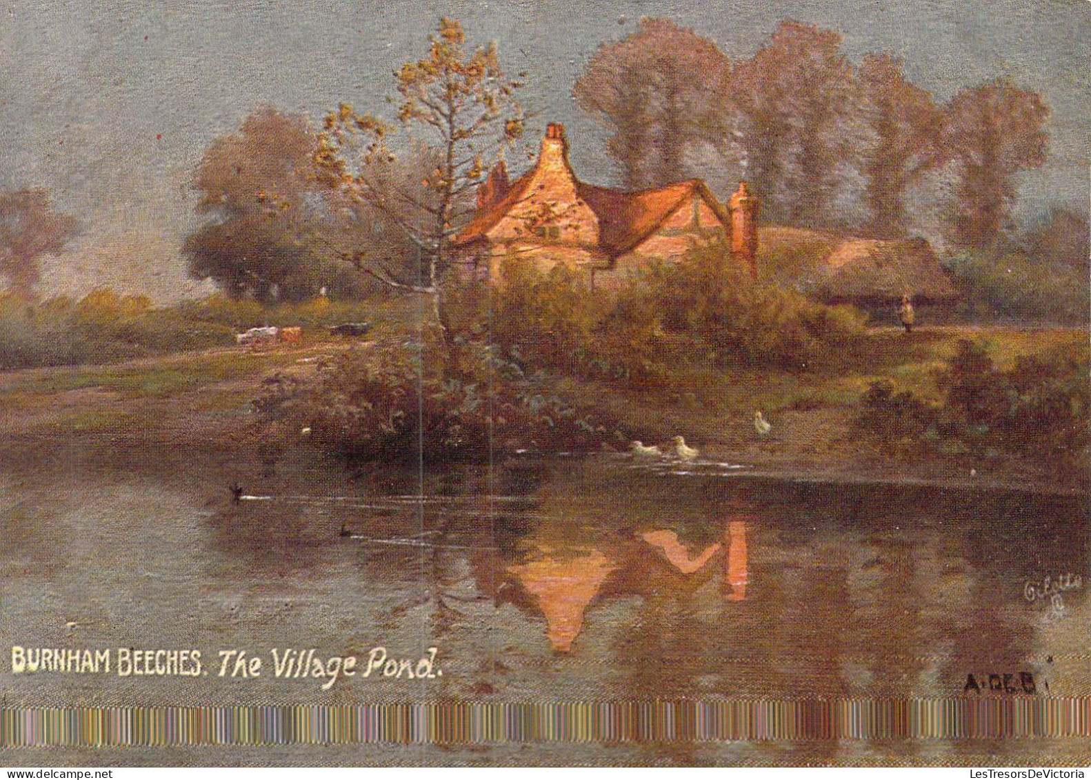 ANGLETERRE - Burnham Beeches - The Village Pond - Carte Postale Ancienne - Andere & Zonder Classificatie