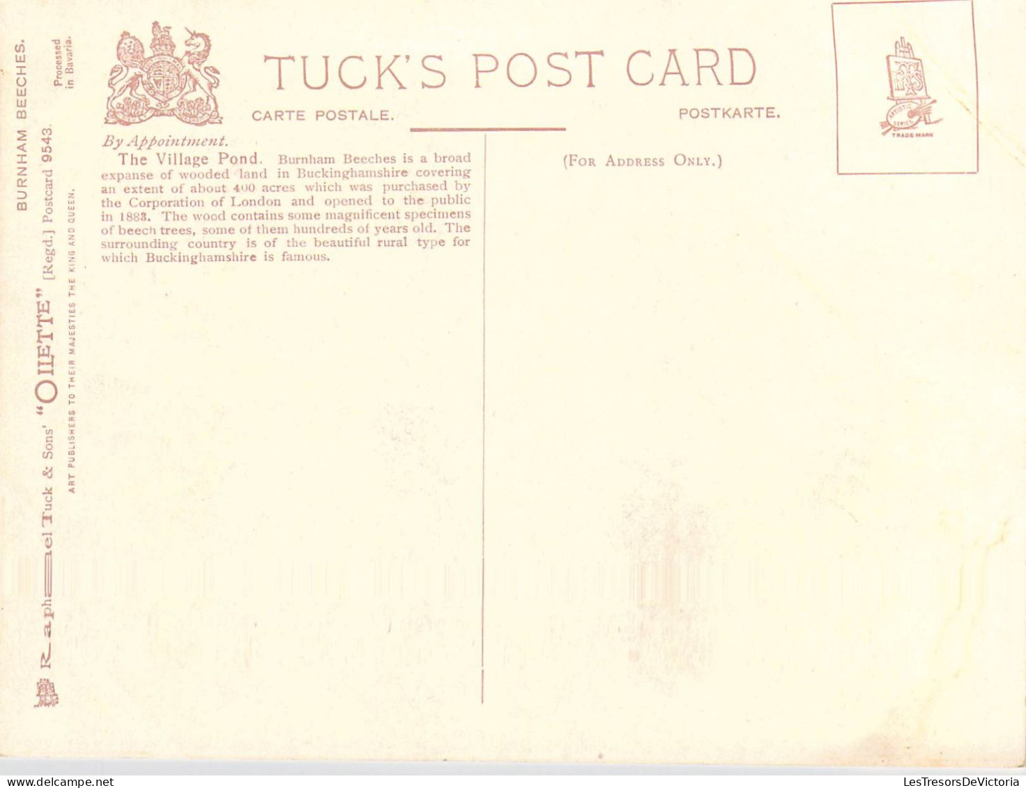 ANGLETERRE - Burnham Beeches - The Village Pond - Carte Postale Ancienne - Autres & Non Classés
